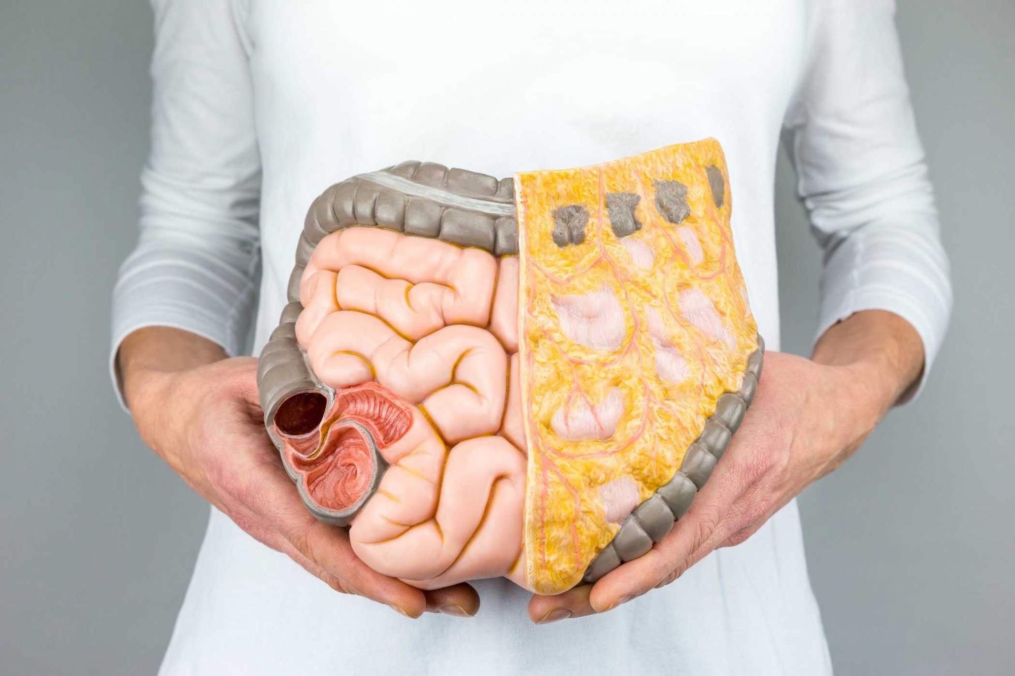 Các Bệnh Ở Đường Tiêu Hóa Thường Gặp