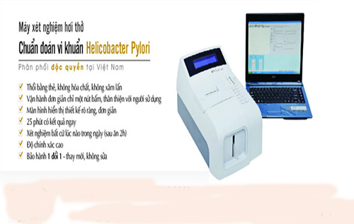 Vi Khuẩn Hp Sống Được Bao Lâu?