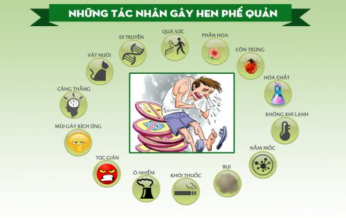 Nguyên Nhân Gây Ra Bệnh Hen Suyễn(CAM)