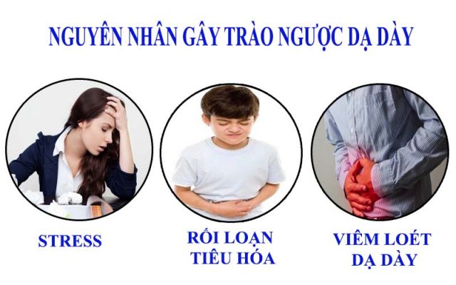 Nguyên Nhân Gây Trào Ngược Dạ Dày Thực Quản