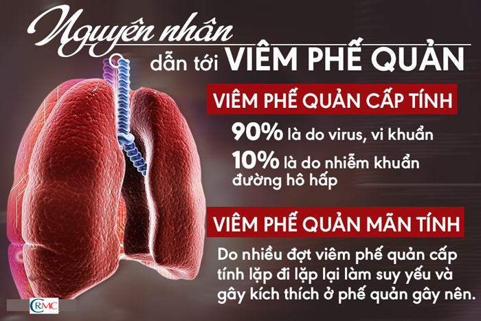 Nguyên Nhân Gây Bệnh Viêm Phế Quản